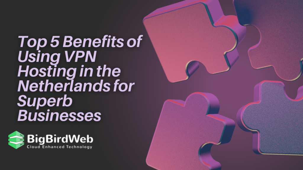 VPN hosting in the Netherlands has become an essential tool for businesses seeking