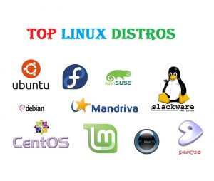 low cost vps hosting Ubuntu VPS Hosting